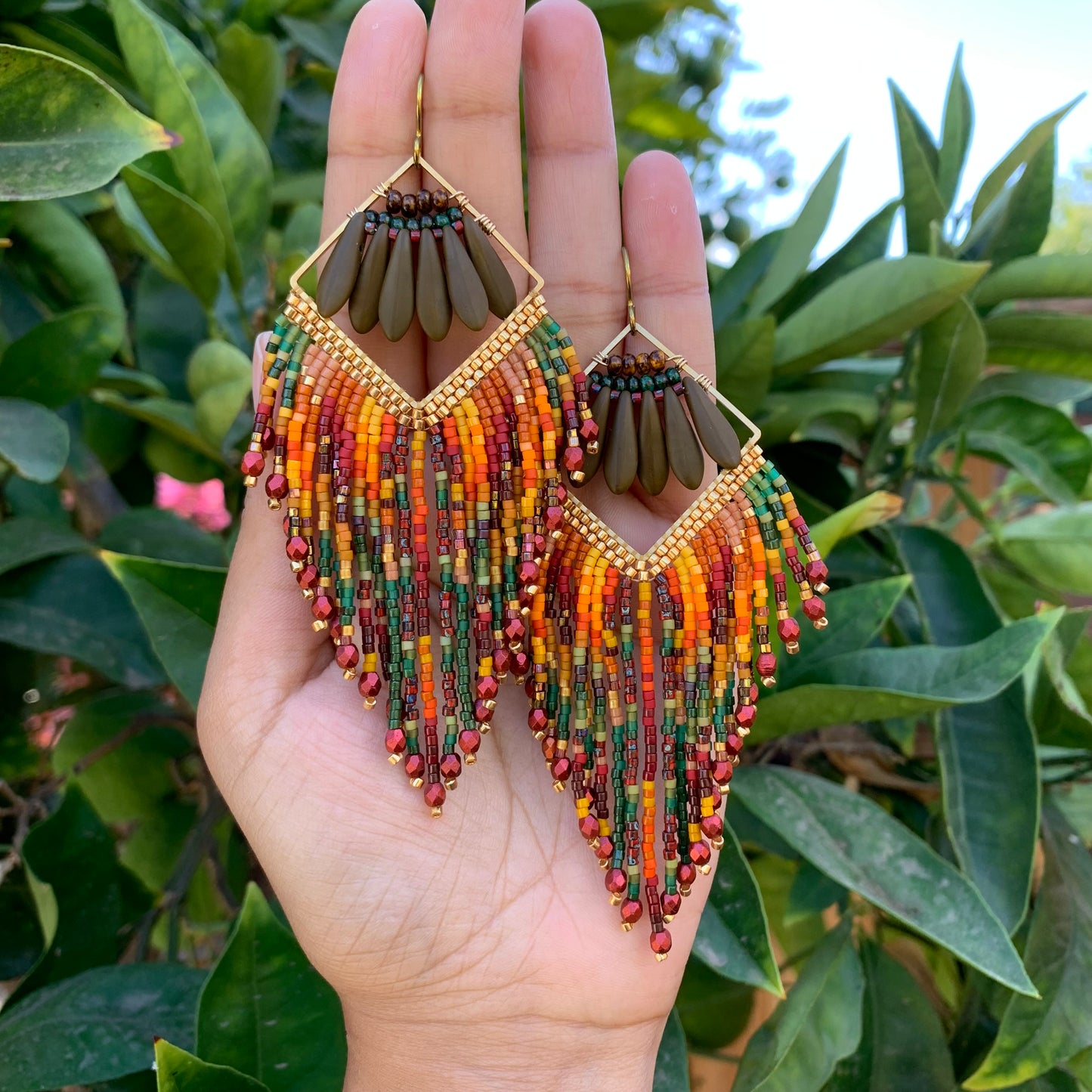 PRE-ORDER: Baby Macaw 11