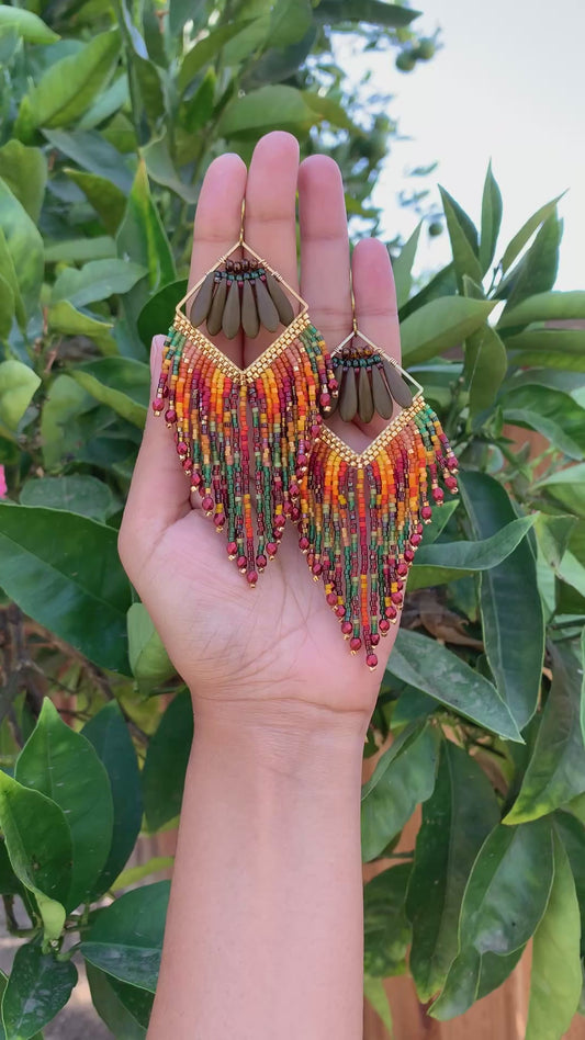 PRE-ORDER: Baby Macaw 11